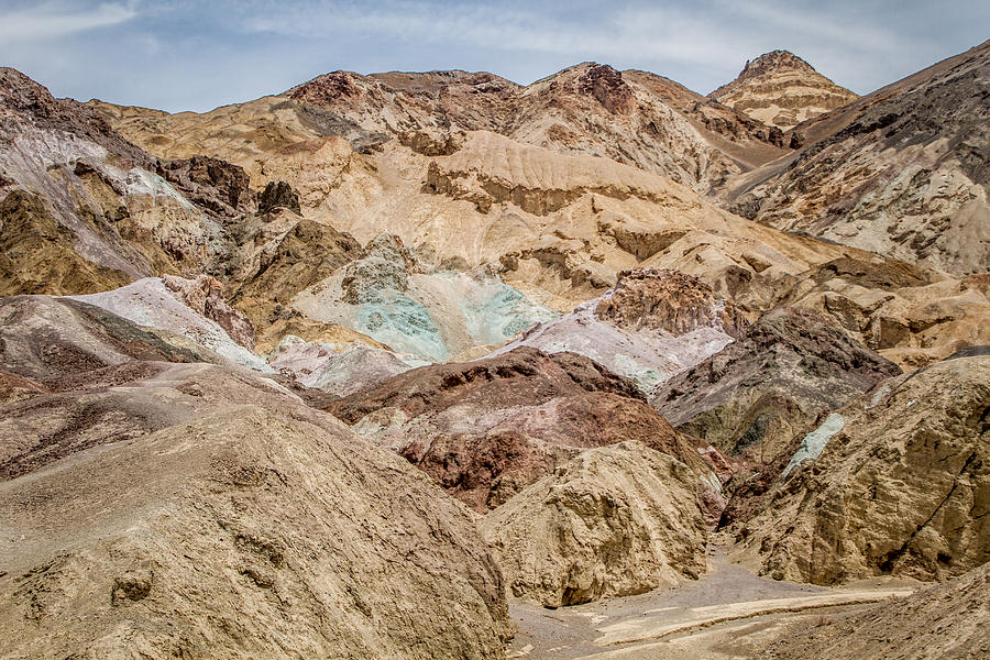 Death Valley 2014 Photograph by Shannon Kunkle