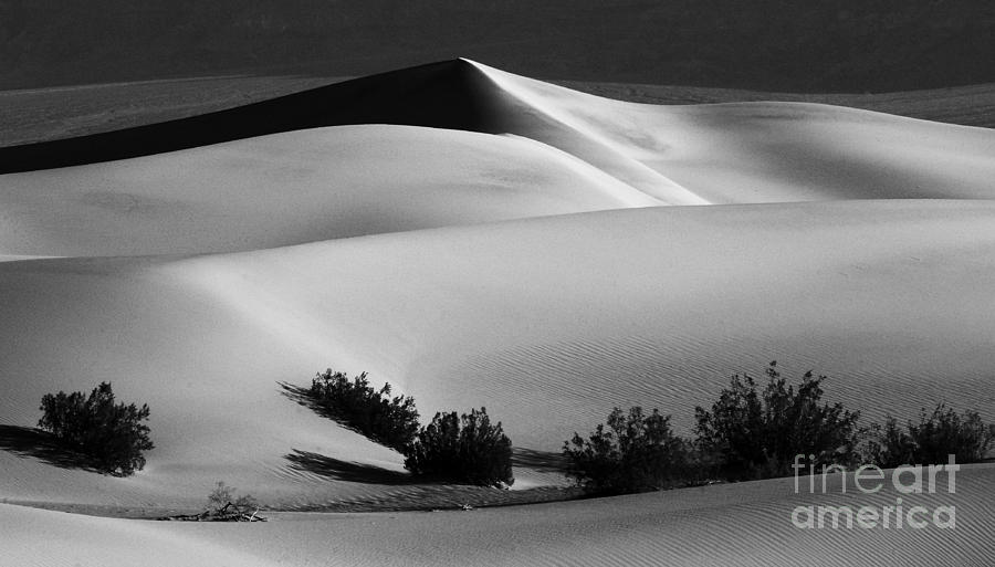 Death Valley National Park Photograph - Death Valley California Mesquite Dunes by Bob Christopher
