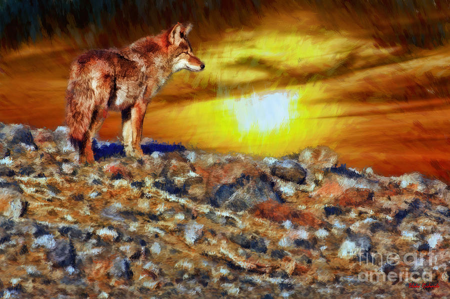 Death Valley Coyote Sunset Photograph by Blake Richards