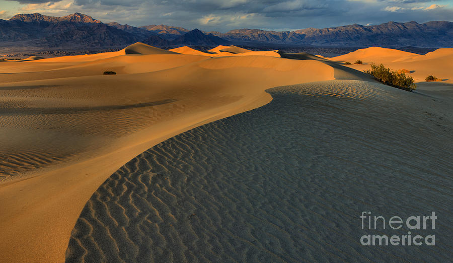 Death Valley Desert Curves Photograph by Adam Jewell