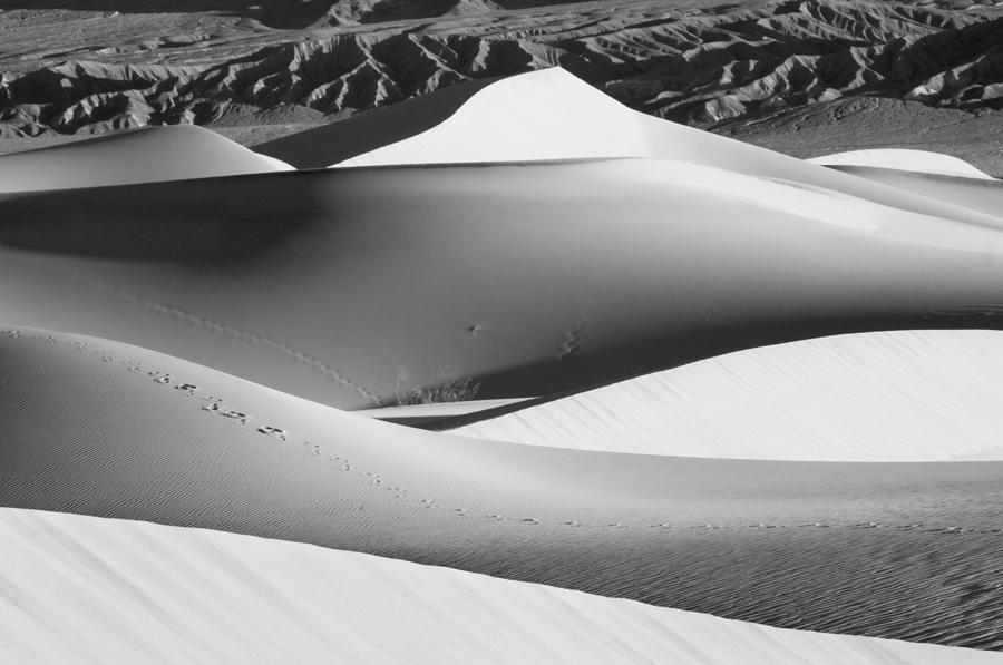 Death Valley Dunes 5481 Photograph