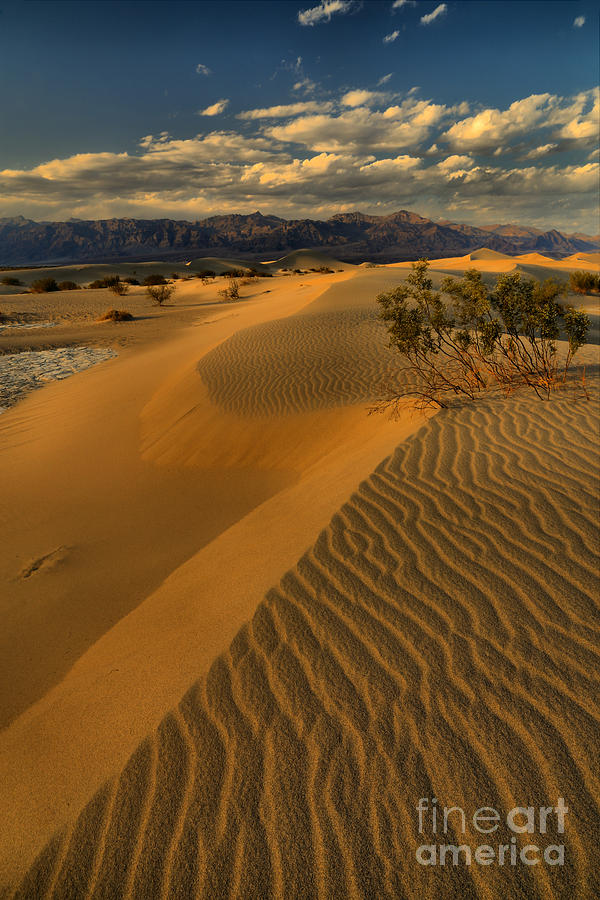 Death Valley National Park Photograph - Death Valley Dunes by Adam Jewell