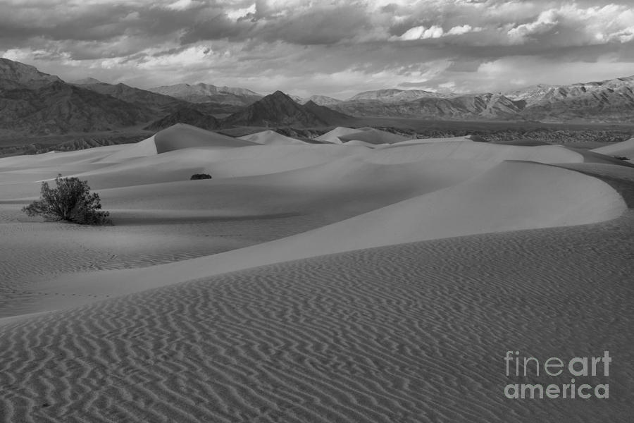 Death Valley Dunes Black And White Photograph by Adam Jewell