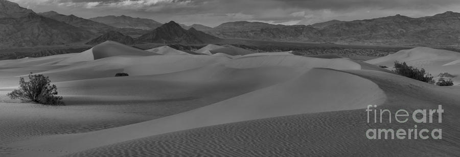 Death Valley Dunes Black And White Panorama Photograph by Adam Jewell