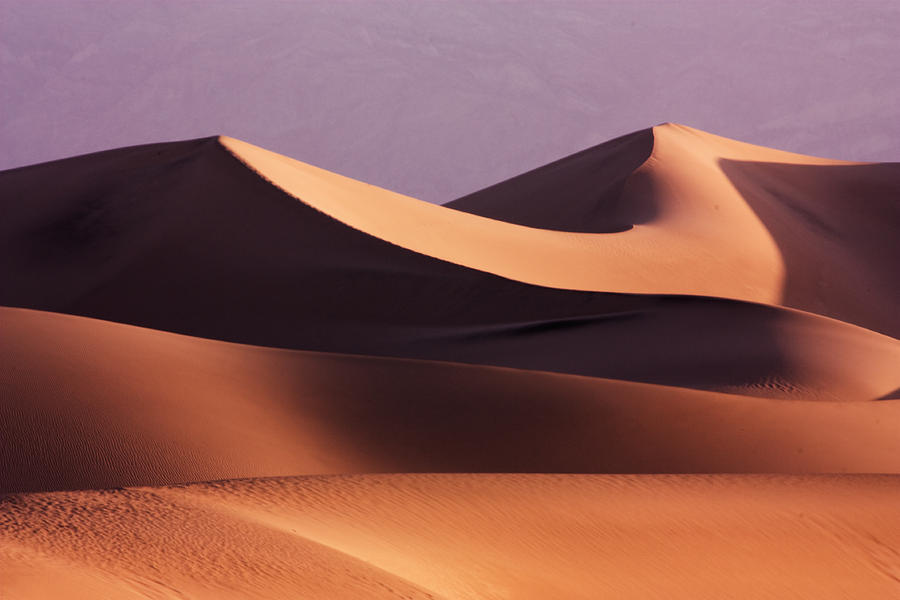 Desert Photograph - Death Valley Dunes by Matt  Trimble