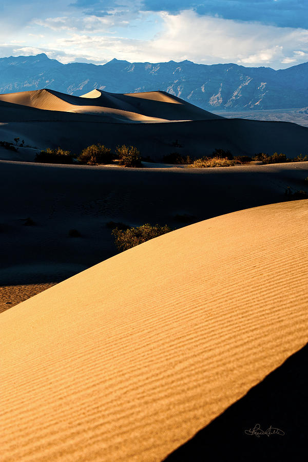 Death Valley Dunes Photograph by Renee Sullivan