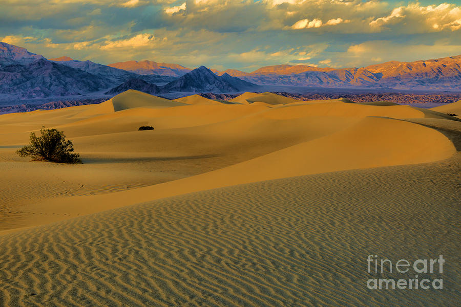 Death Valley Dunes Sunset Glow Photograph by Adam Jewell
