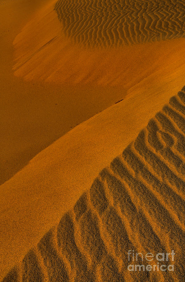 Death Valley Golden Dunes Photograph by Adam Jewell