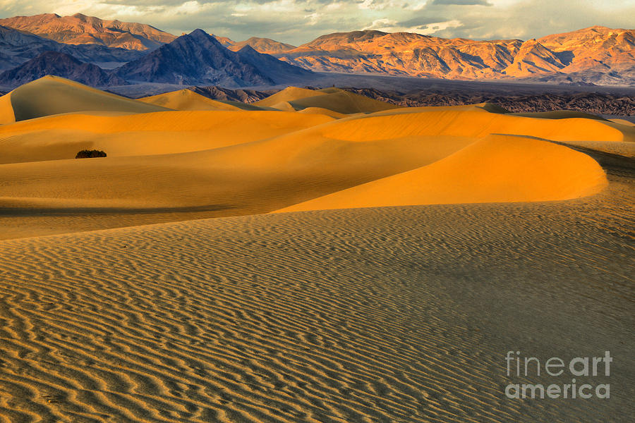 Death Valley Golden Hour Photograph by Adam Jewell