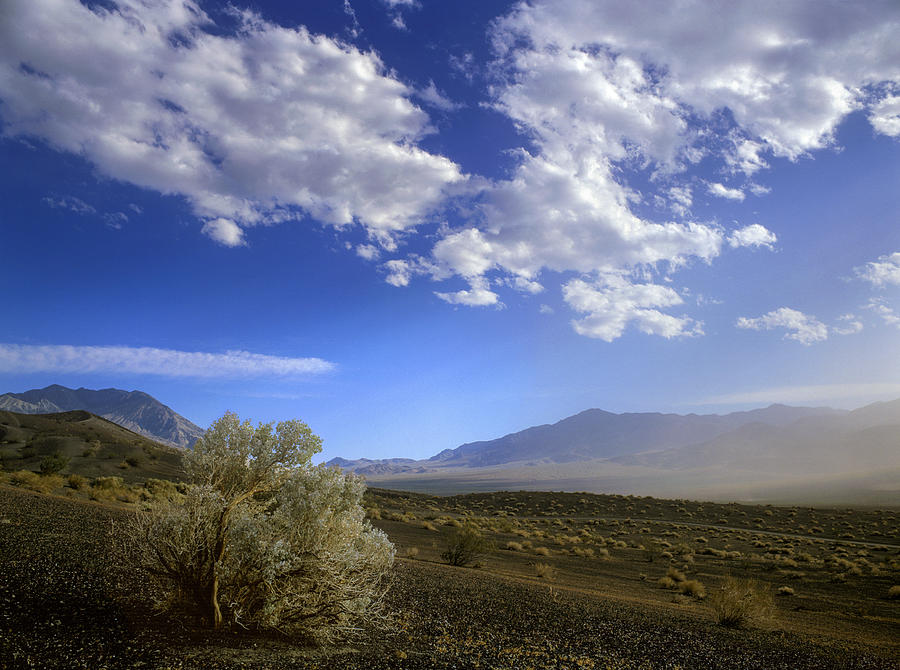 Death Valley Photograph by Grant Sorenson