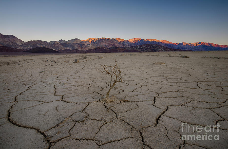 Death Valley Photograph by Idaho Scenic Images Linda Lantzy