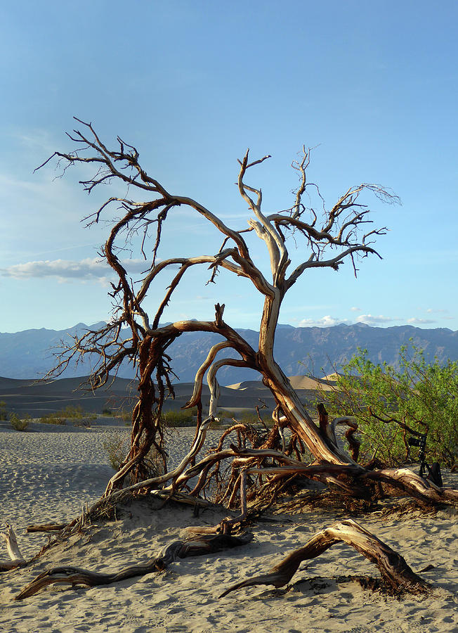 Star Wars Photograph - Death Valley Landscape by Gordon Beck