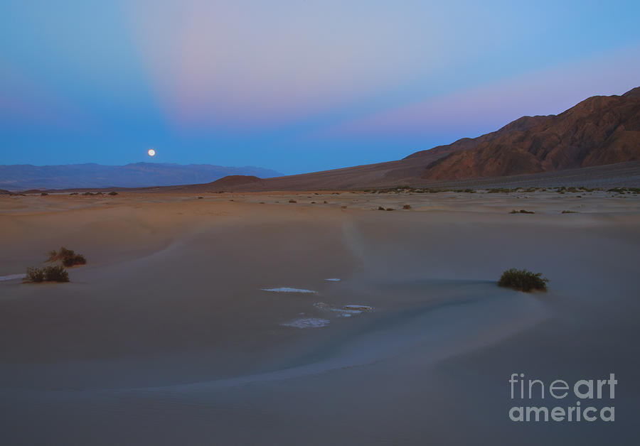 Death Valley Moonrise Photograph by Michael Dawson