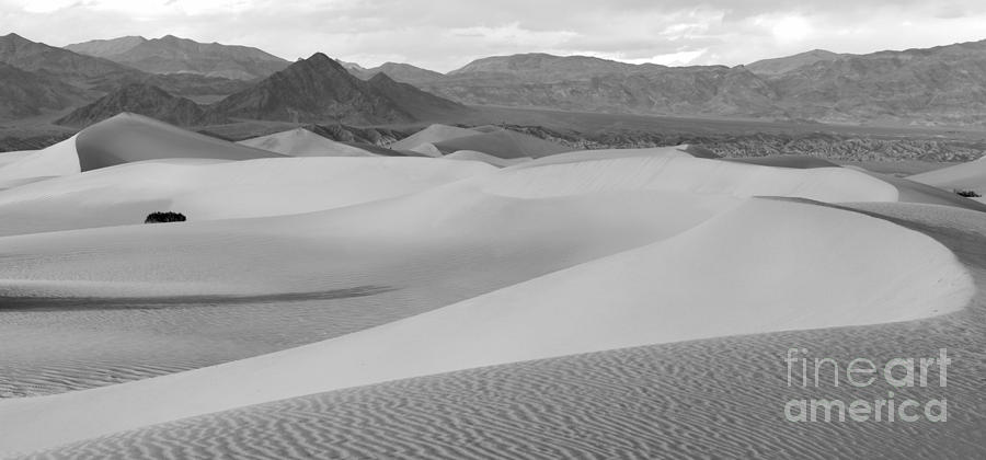Death Valley Panoramic Sand Dunes Photograph by Adam Jewell