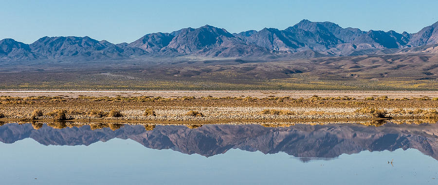 Death Valley Reflections Photograph by Paul Freidlund