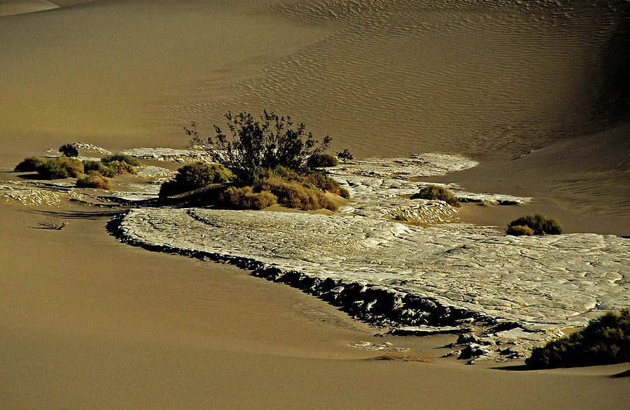 Death Valley Salt Photograph by Juergen Weiss
