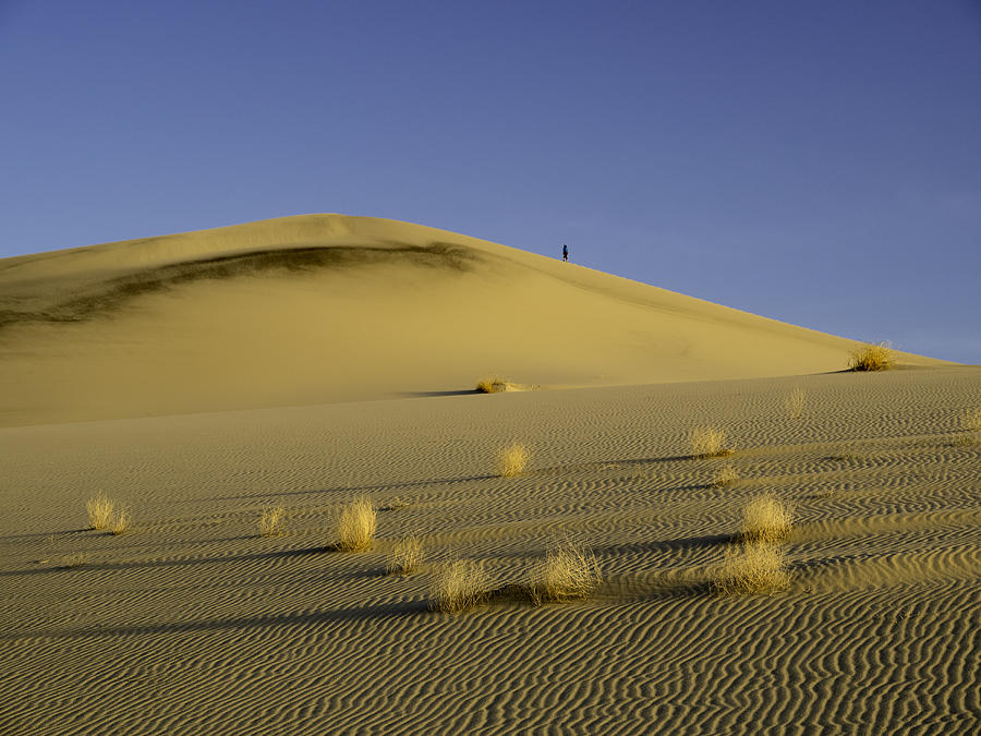 Death Valley Sand dune at sunset Photograph by Martin Gollery