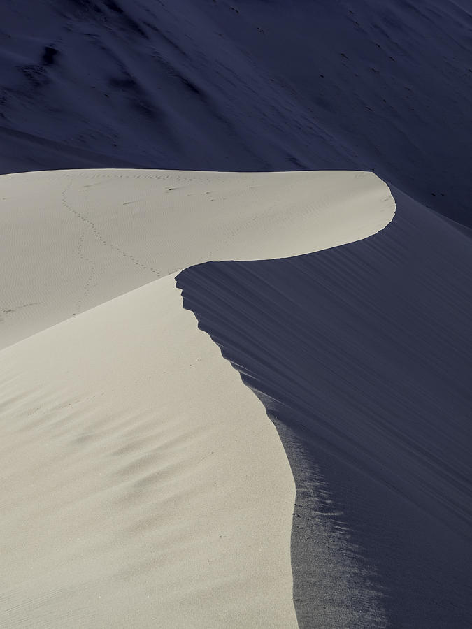 Death Valley Sand Dune Photograph by Martin Gollery