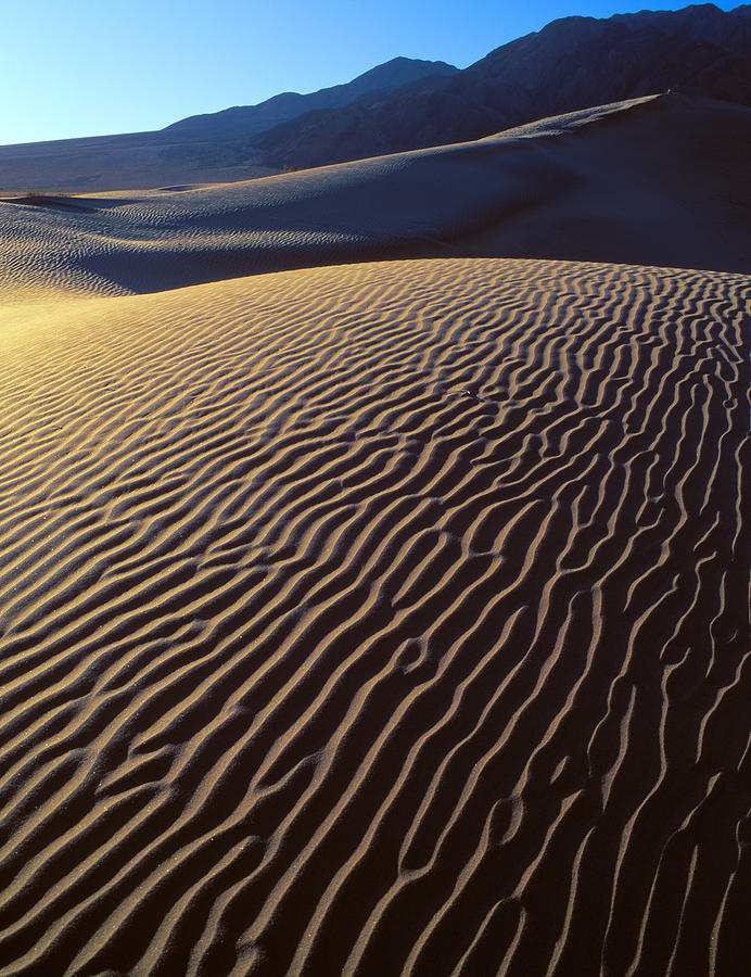 Death Valley Sand Dunes Photograph by Johan Elzenga