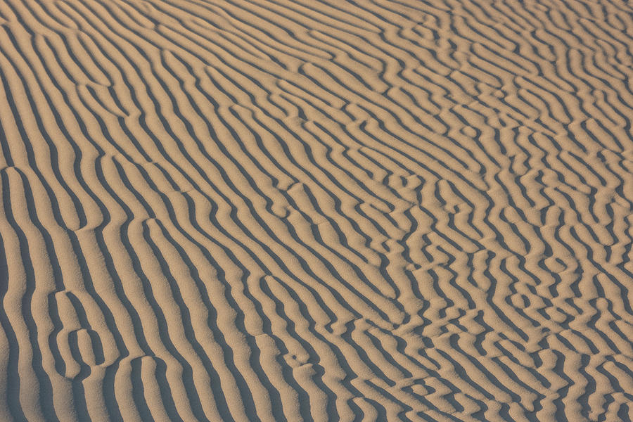 Mesquite Flats Sand Dunes #1 Photograph by Ken Weber