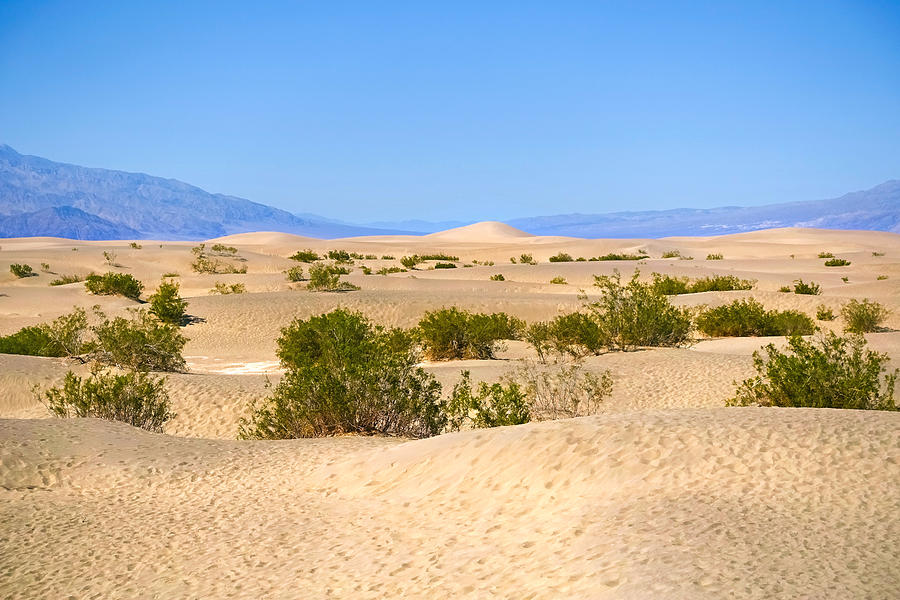 National Parks Photograph - Death Valley Sanddunes by Lutz Baar
