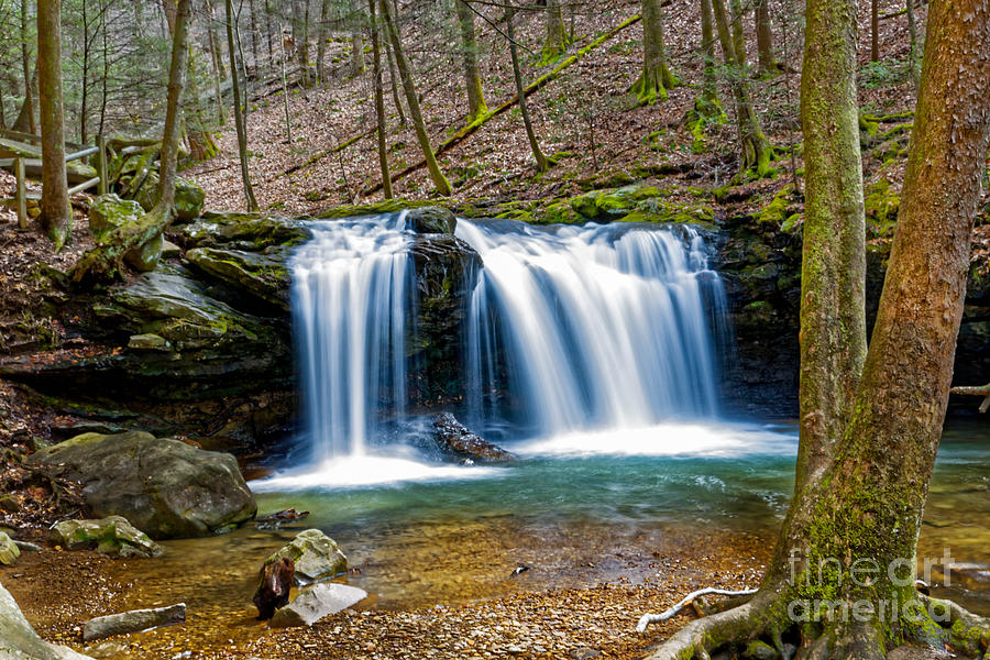 Debord Falls On Panther Branch Photograph by Paul Mashburn