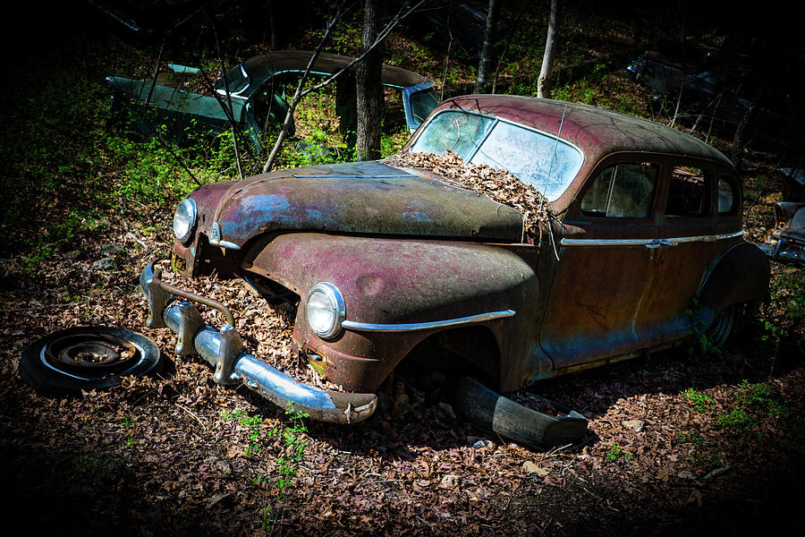 Decaying Antique Car in the Woods Photograph by Douglas Barnett