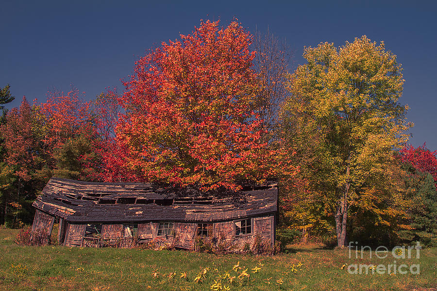 Decaying Building by Photography by Laura Lee Decaying Building by Photography by Laura Lee
