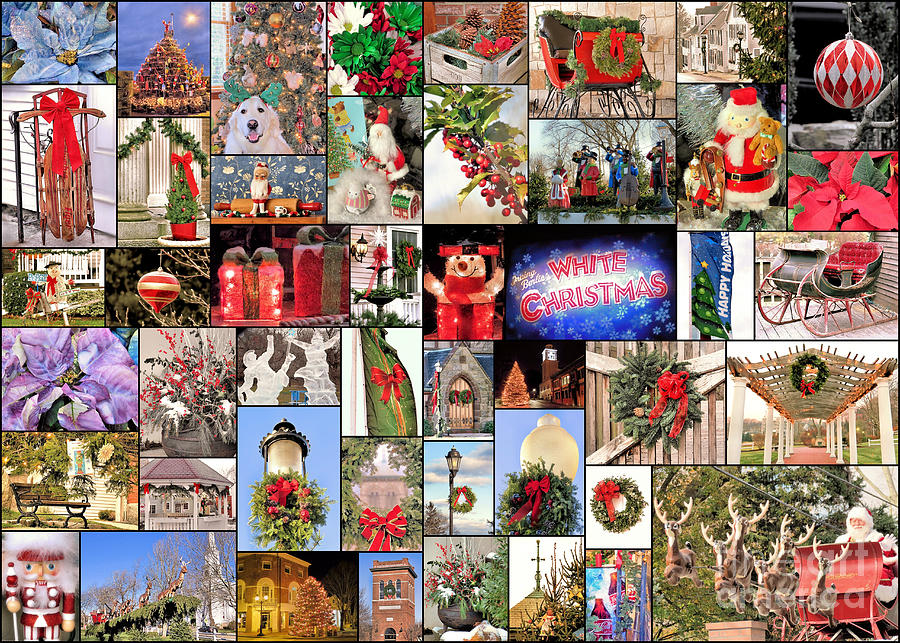 December collage  Photograph by Janice Drew