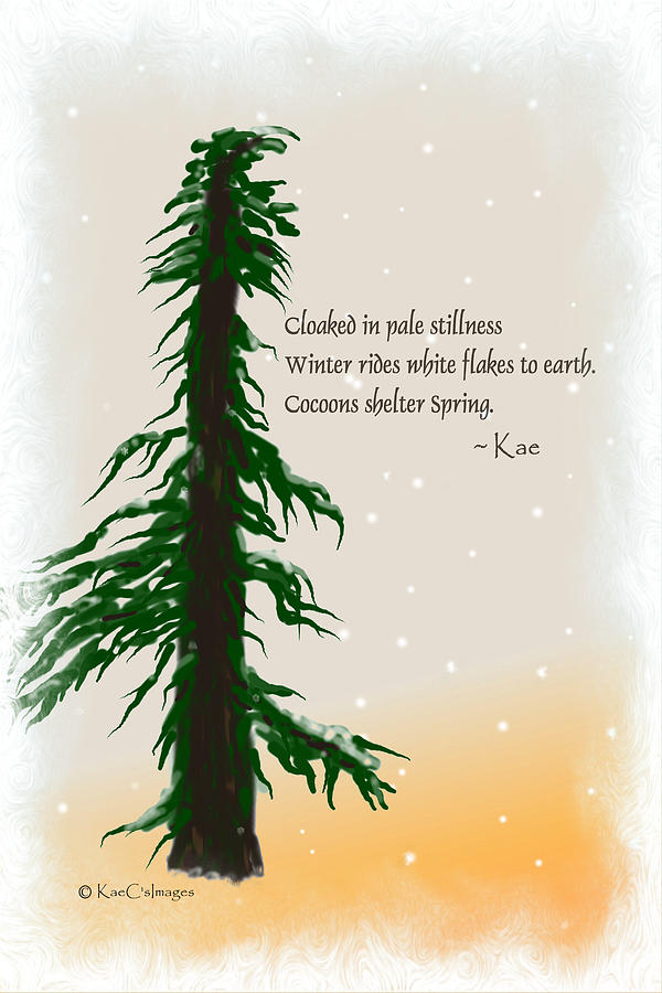 December Haiku with drawing Digital Art by Kae Cheatham