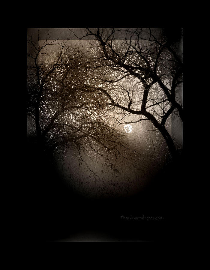 December Moon II Photograph by Mimulux Patricia No