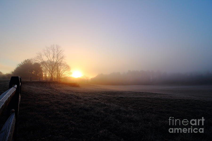 December Morning Light  Photograph by Neal Eslinger