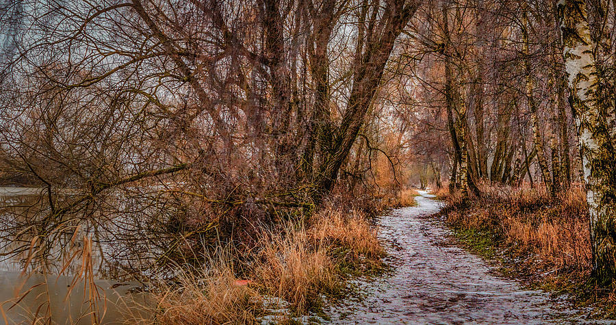 December path #h0 Photograph by Leif Sohlman