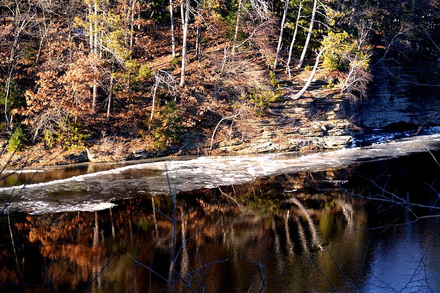 Tree Photograph - December Reflections On Wisconsin River by Karen Majkrzak