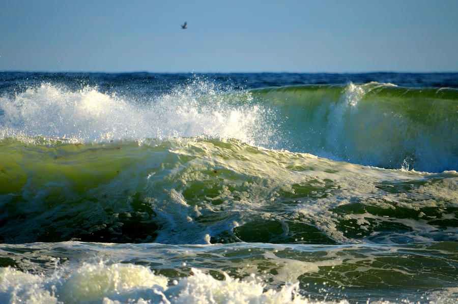 December Ocean Power Photograph by Dianne Cowen Cape Cod Photography
