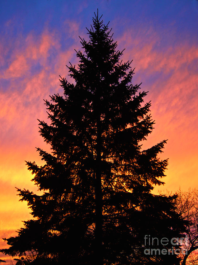 December Sunset Photograph by Mark Miller