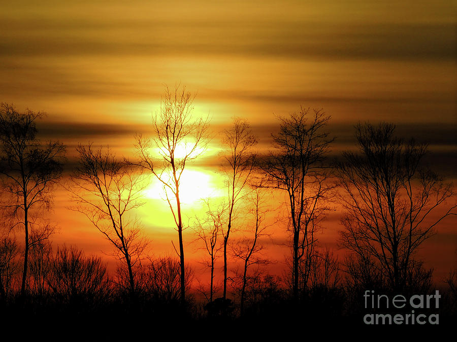 December Sunset Photograph by Mim White