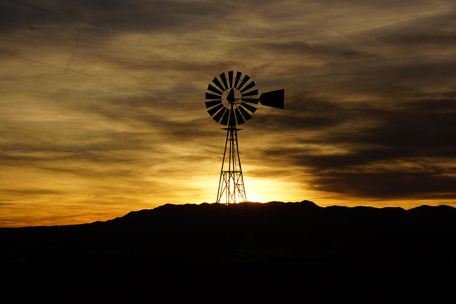 December Windmill Photograph by Julie Carter