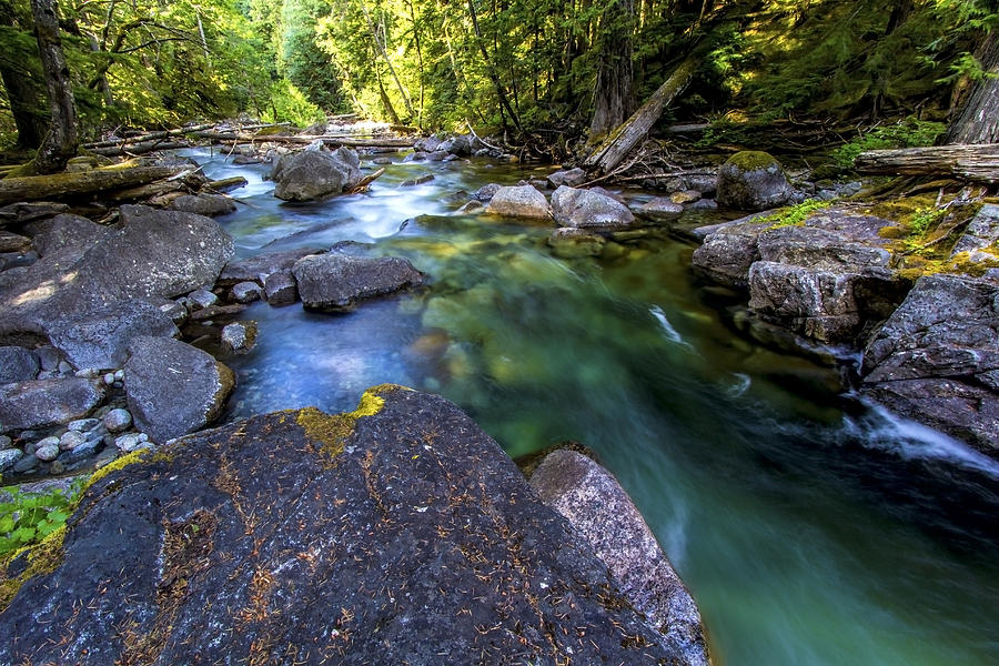 Deception Creek Photograph by Larry Waldon
