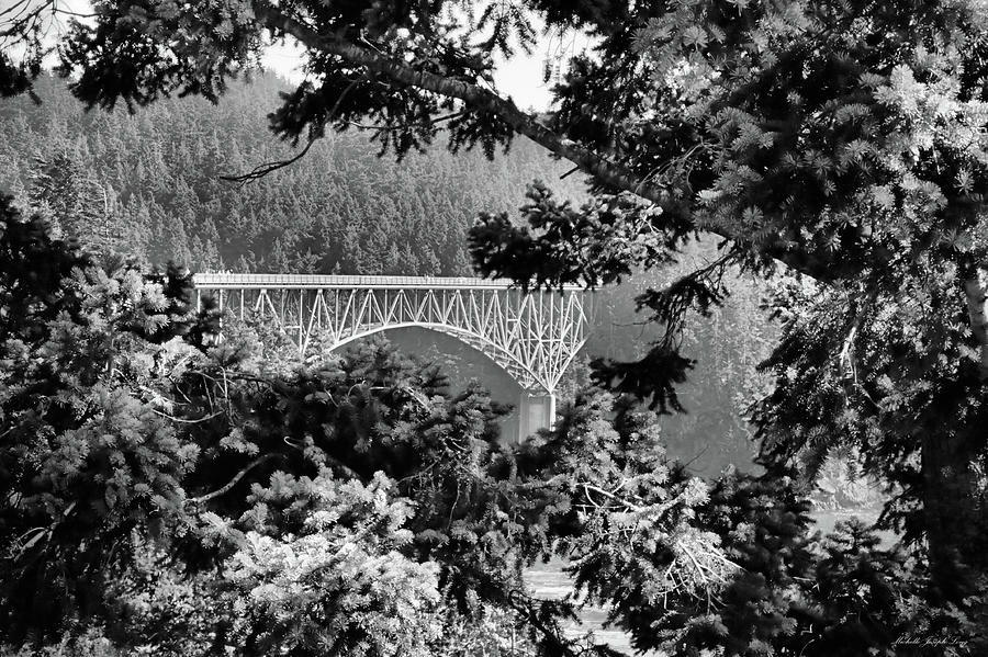 Deception Pass Bridge Photograph by Michelle Joseph-Long