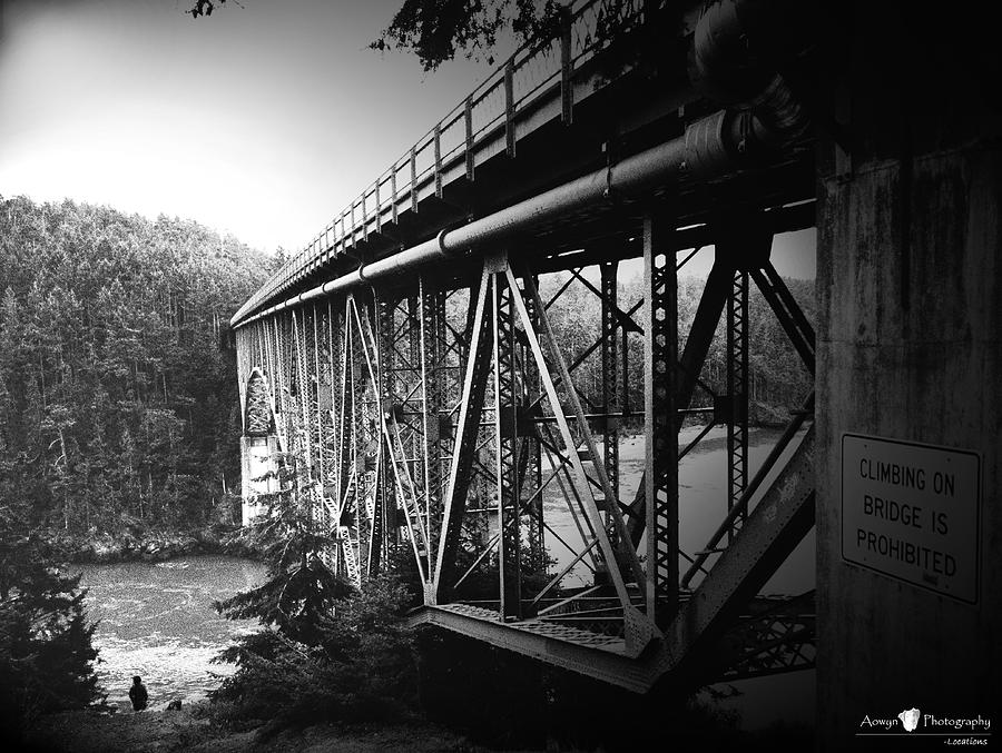 Bridge Photograph - Deception Pass Bridge by Stephanie McGuire Bridge Photograph - Deception Pass Bridge by Stephanie McGuire