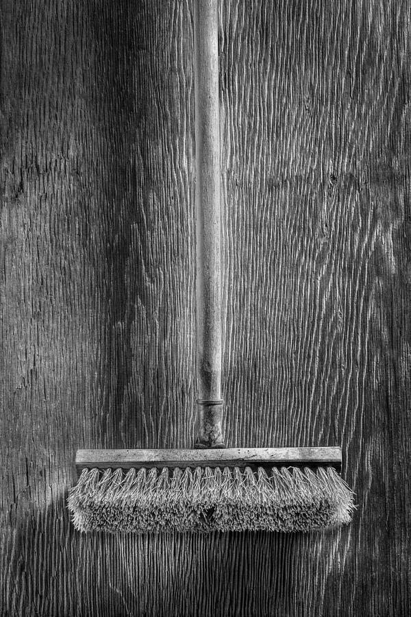 Deck Scrub Brush Photograph by YoPedro