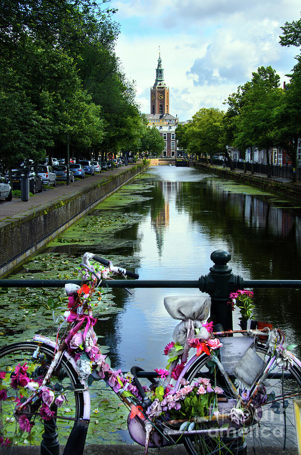 Canal and decorated bike in The Hague Photograph by RicardMN Photography