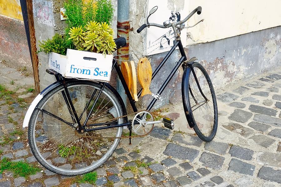 Decorative Bike Parked On The Cobblestone Streets In Szentendre, Hungary   Photograph by Rick Rosenshein
