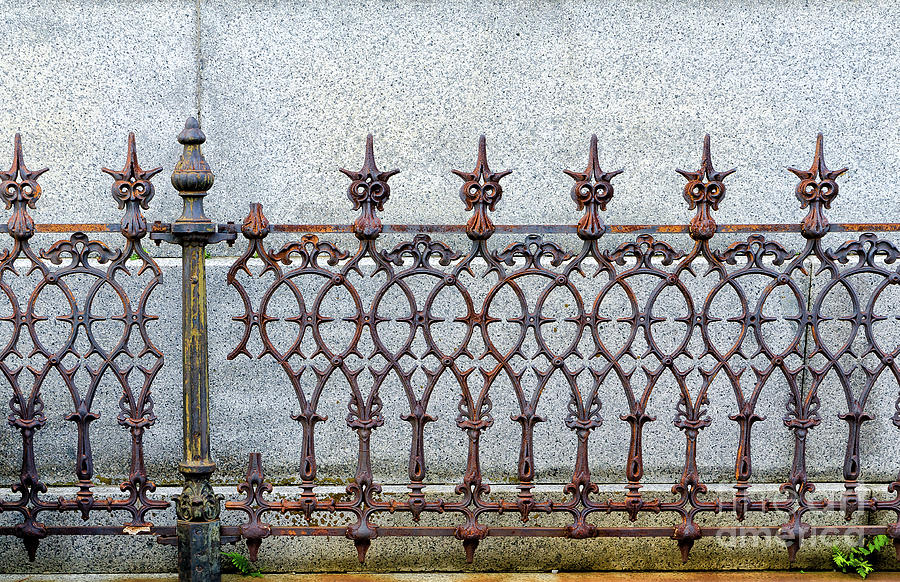 Decorative Cast and Wrought Iron Fence_ NOLA Photograph by Kathleen K Parker