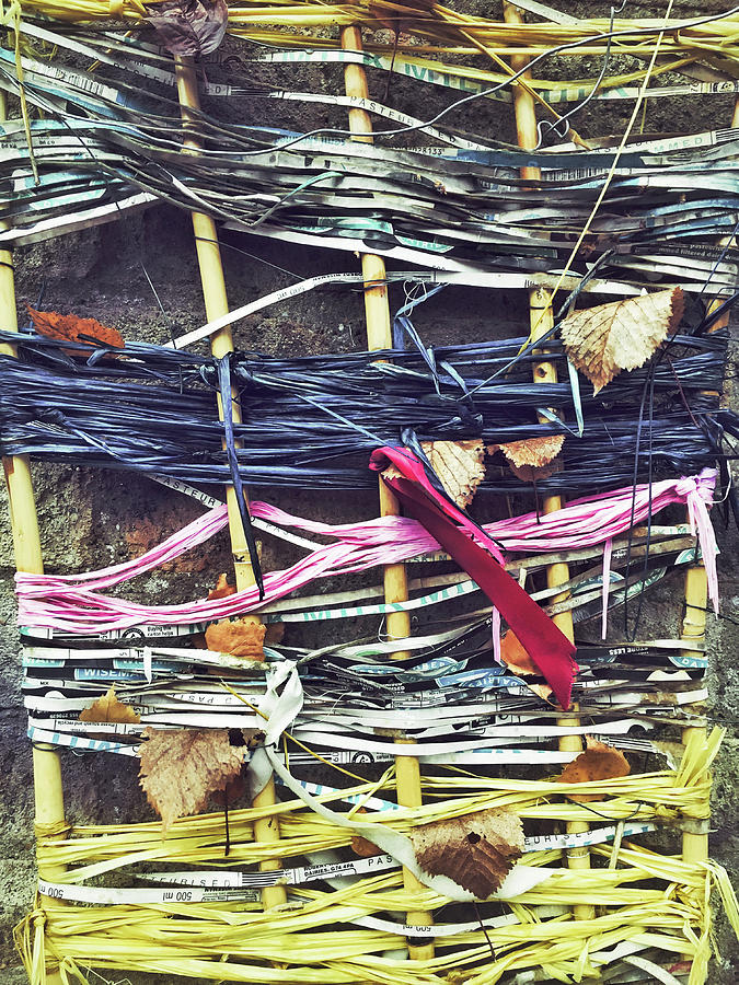 Decorative colorful ribbons Photograph by Tom Gowanlock