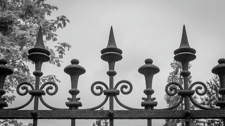 Decorative Fence B W Photograph by Teresa Mucha