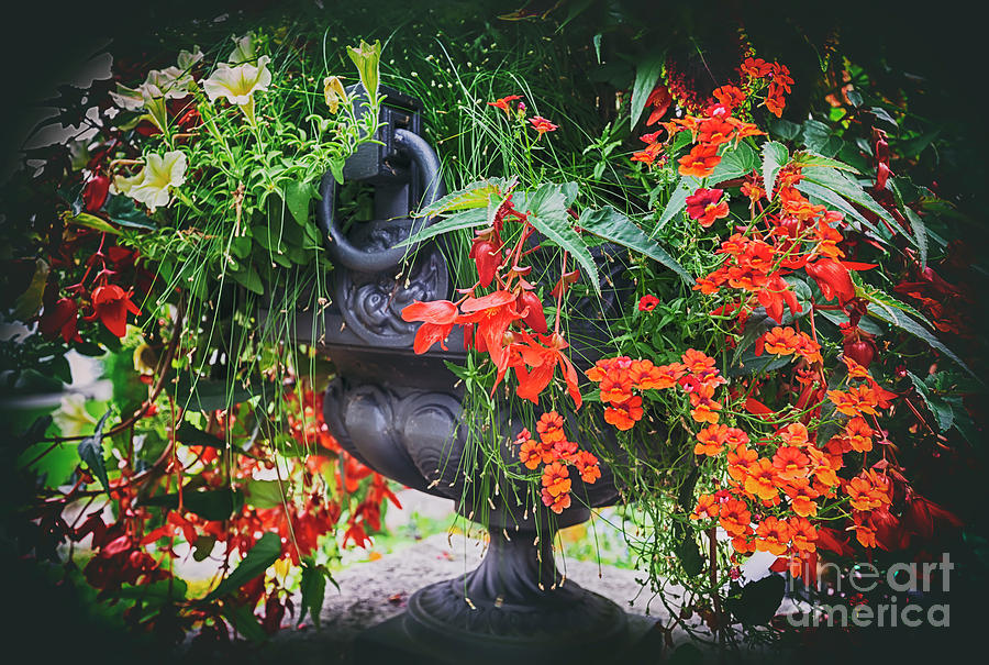 Decorative Flower Vase In Garden Photograph by Ariadna De Raadt