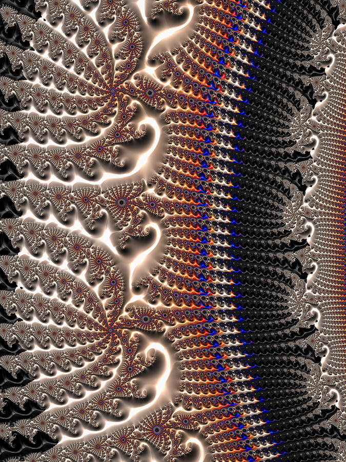 Decorative fractal texture gray brown black Digital Art by Matthias Hauser