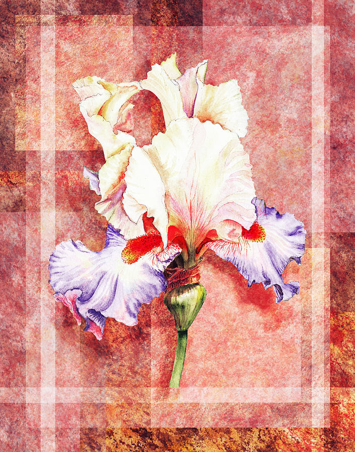 Decorative Iris Flower Painting by Irina Sztukowski